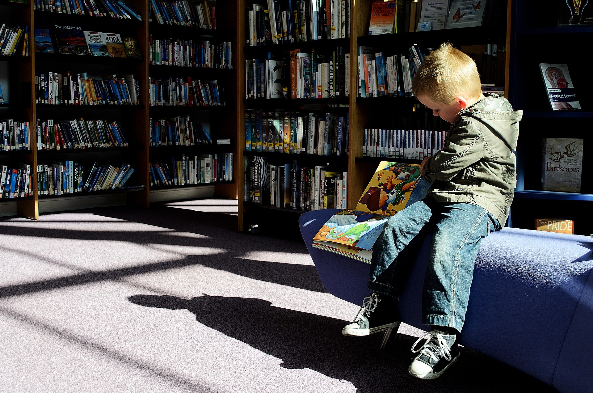 Child Reading in Library